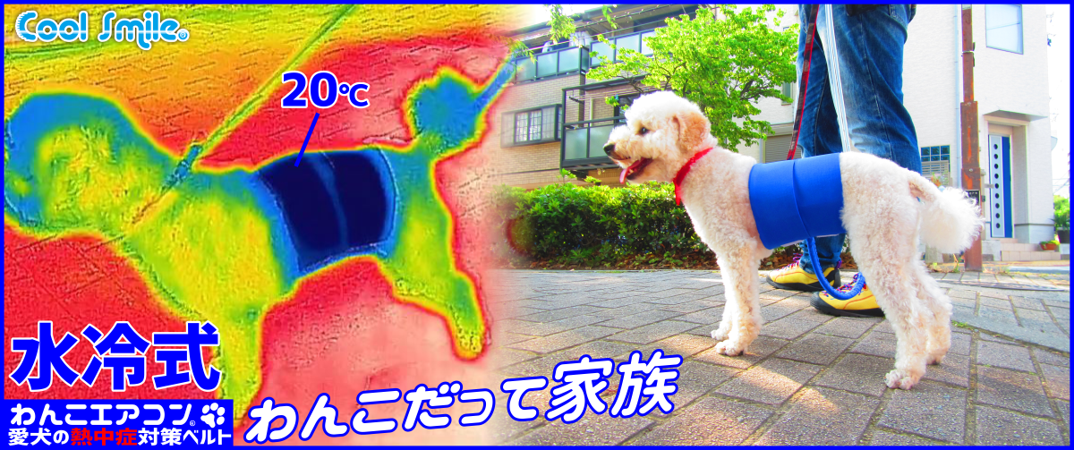 激安買取相場 愛犬　ワンちゃん　クーラー　開発商品　格安で　猛暑到来　ワンちゃんも熱中症に 犬用品